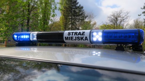 Kierował bez uprawnień