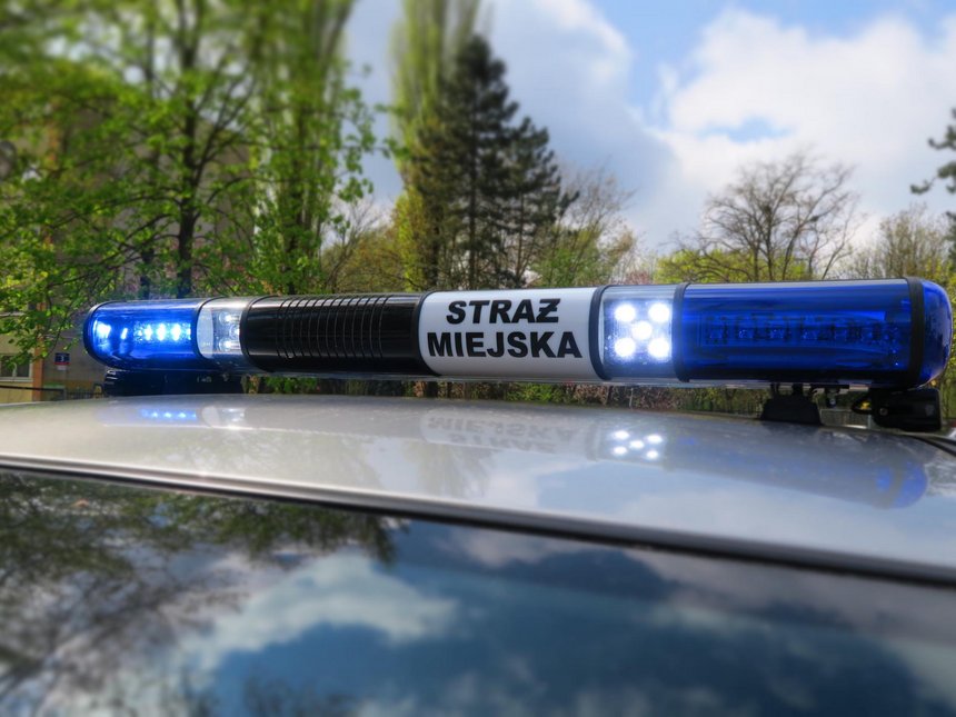 Kierował bez uprawnień