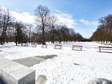 fot. Sebastian Glapiński / UMŁ