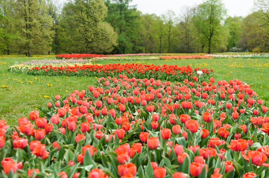 Łódzki Ogród Botaniczny fot. Archiwum UMŁ