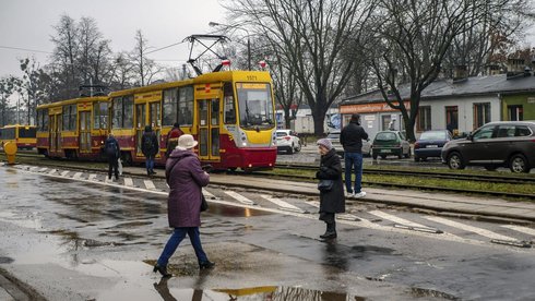 fot. Stefan Brajter / UMŁ