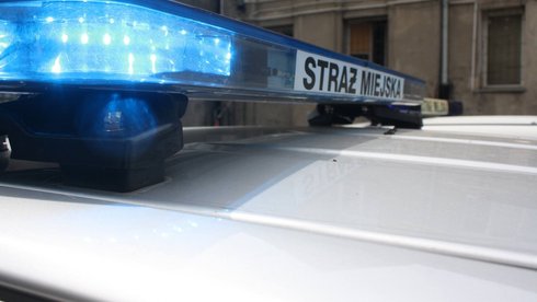 Strażnicy ujęli kierującego bez uprawnień