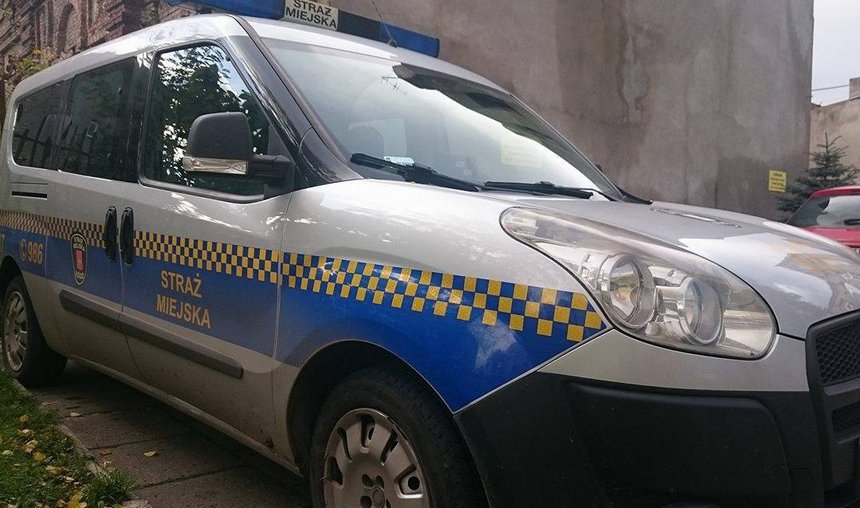 Wykroczenia w ruchu drogowym