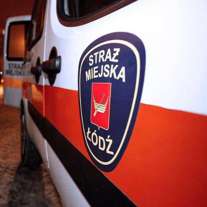 Sprawcy pobicia ujęci przez strażników