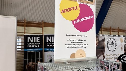 Klatka kenelowa, a na niej roll up promujący świadomą adopcję z łódzkiego schroniska.