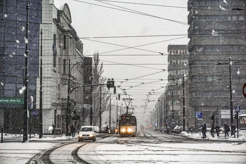 fot. Grzegorz Sikora / UMŁ