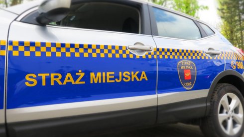 Działania patroli w terenie