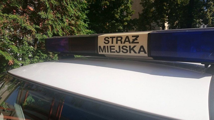 Działania patroli w terenie
