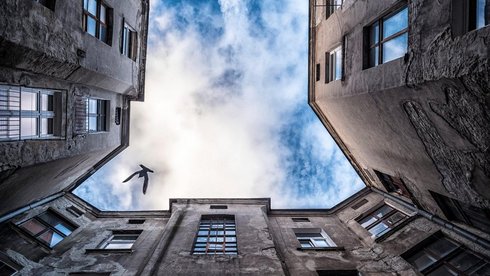 fot. Stefan Brajter / UMŁ