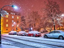 fot. z arch. UMŁ