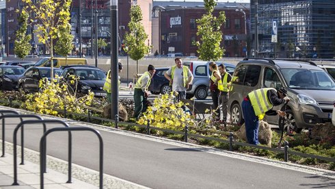 Zazieleni się plac przed Urzędem Marszałkowskim i D.H. Central fot. Stefan Brajter / UMŁ