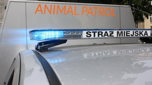 Na pomoc zwierzętom