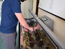 Małże żyją w akwariach, przez które przepływa woda ze studni głębinowych. Akwaria są specjalnie zbudowane -  są zaciemnione, izolowane od hałasu, mają zamontowane amortyzatory tłumiące drgania podłoża.