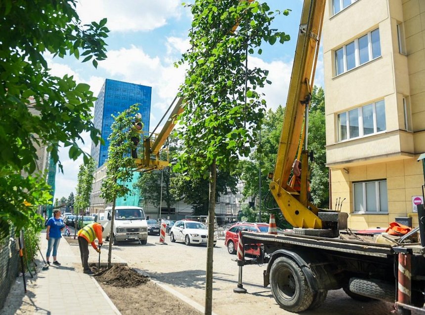 fot. Paweł Łacheta / UMŁ