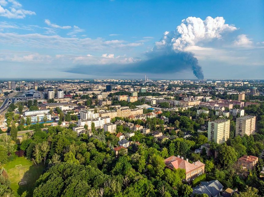 fot. Stefan Brajter / UMŁ