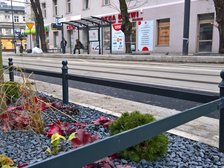fot. Wojciech Markiewicz / UMŁ