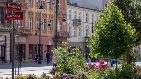 Nasadzenia zrobiono m.in. przy ul. Zamenhofa fot. z arch. UMŁ
