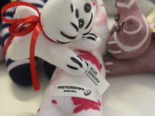 fot. Paweł Łacheta / UMŁ