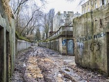 fot. Stefan Brajter / UMŁ