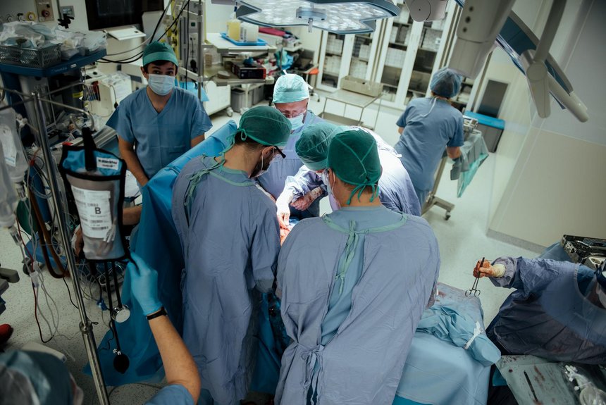 fot. Radosław Żydowicz / UMŁ