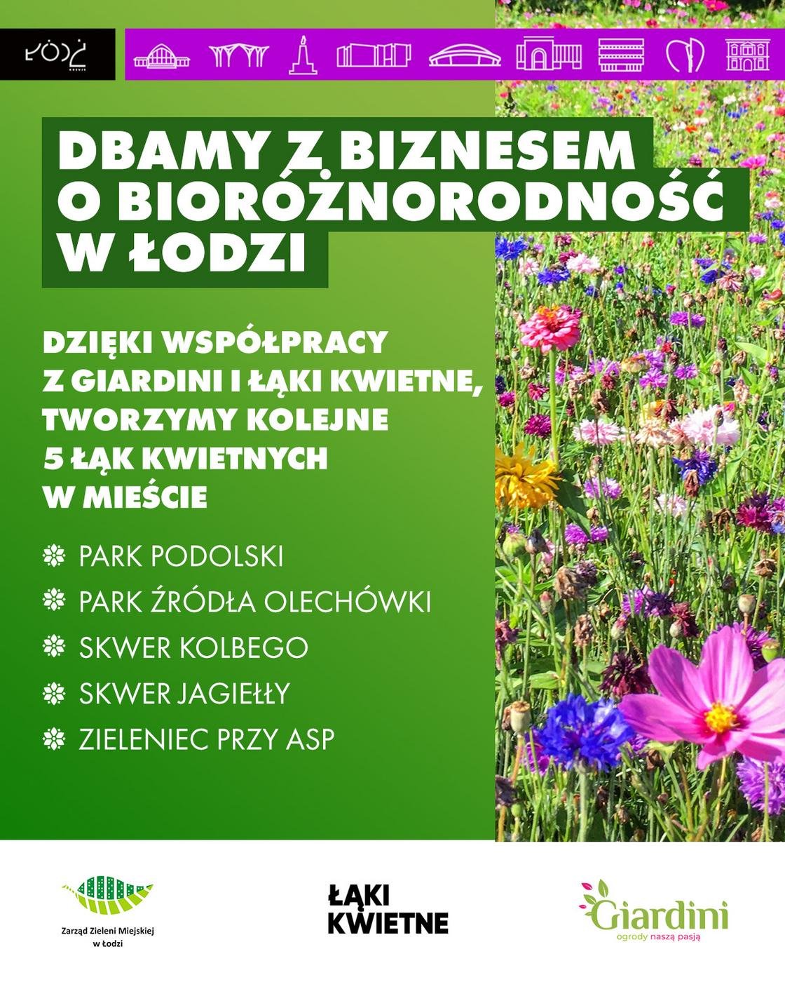 Infografika z tekstem: Dbamy z biznesem o bioróżnorodność w Łodzi. dzięki współpracy z Giardini i Łąki Kwietne, tworzymy kolejne 5 łąk kwietnych w mieście. Lokalizacje Park Podolski, Park Źródła Olchówki, Skwer Kolbego, Skwer Jagiełły, zieleniec przy ASP.